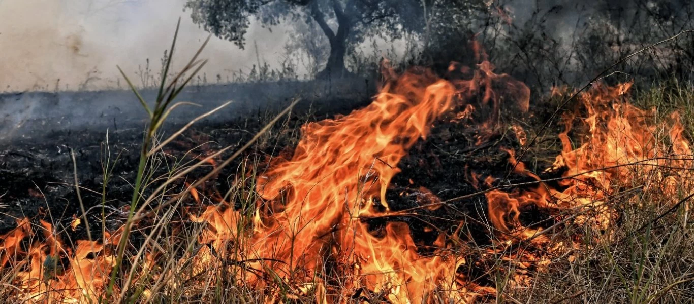 Φωτιά σε χορτολιβαδική έκταση στην Κέα